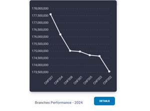 Branches Performance